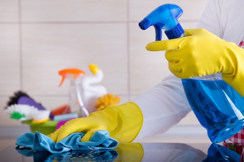 Domestic cleaning service in a Wandsworth family home