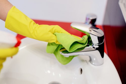 Deep cleaning a pet accident on upholstery in Wandsworth