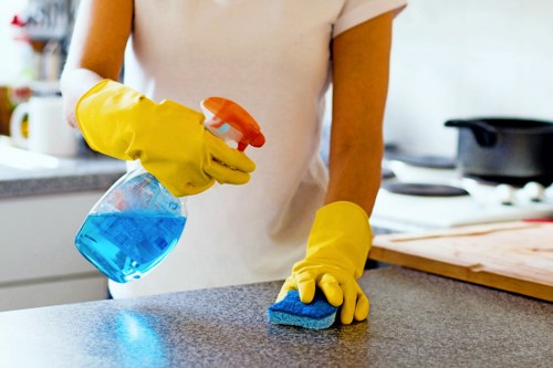 Regular domestic cleaning arranged for Wandsworth residents