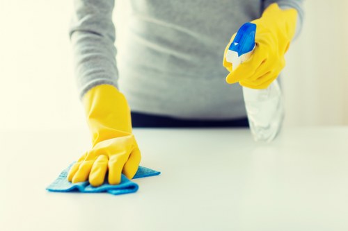 Upholstery stain treatment for a sofa in Wandsworth