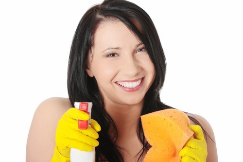 Specialist stain removal process for carpets and fabrics